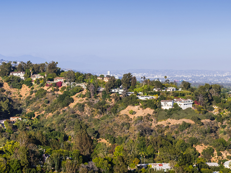 Bel Air View